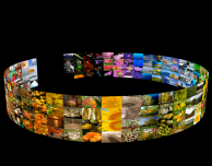 3D Photo Ring HD, un’innovativa applicazione per visualizzare immagini