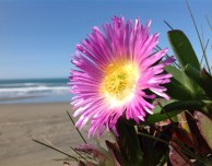 Diamo uno sguardo alle foto e ai video realizzati con il nuovo iPad