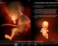 Sprout, la guida completa per le donne in gravidanza