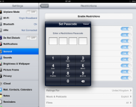 Family Tablet: iPad o Nexus ?