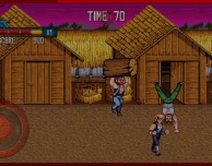 Gioca a Double Dragon su iPad!