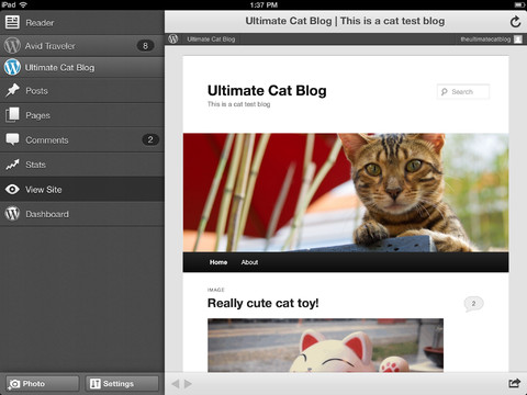 wordpress_ipad