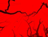 PolyFauna: l’applicazione dei Radiohead disponibile gratuitamente su App Store
