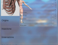 FisioApp, la prima app italiana dedicata alla fisioterapia