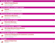 Bibenda 2015 approda su iPad