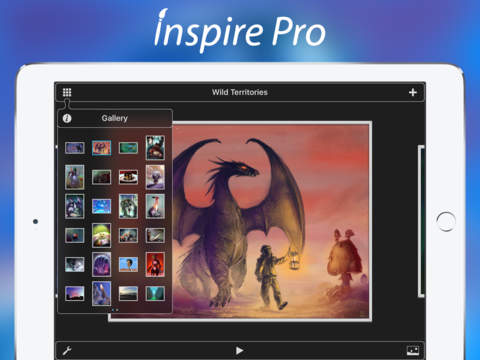 Inspire Pro iPad pic0
