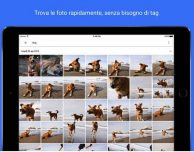 Quick Update: gli aggiornamenti più importanti della settimana