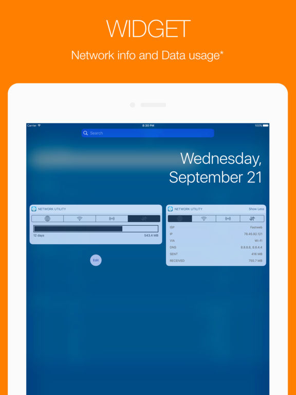 utility-network-pro