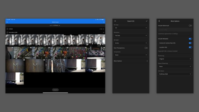 luminar ai on ipad pro luminar ai on ipad pro